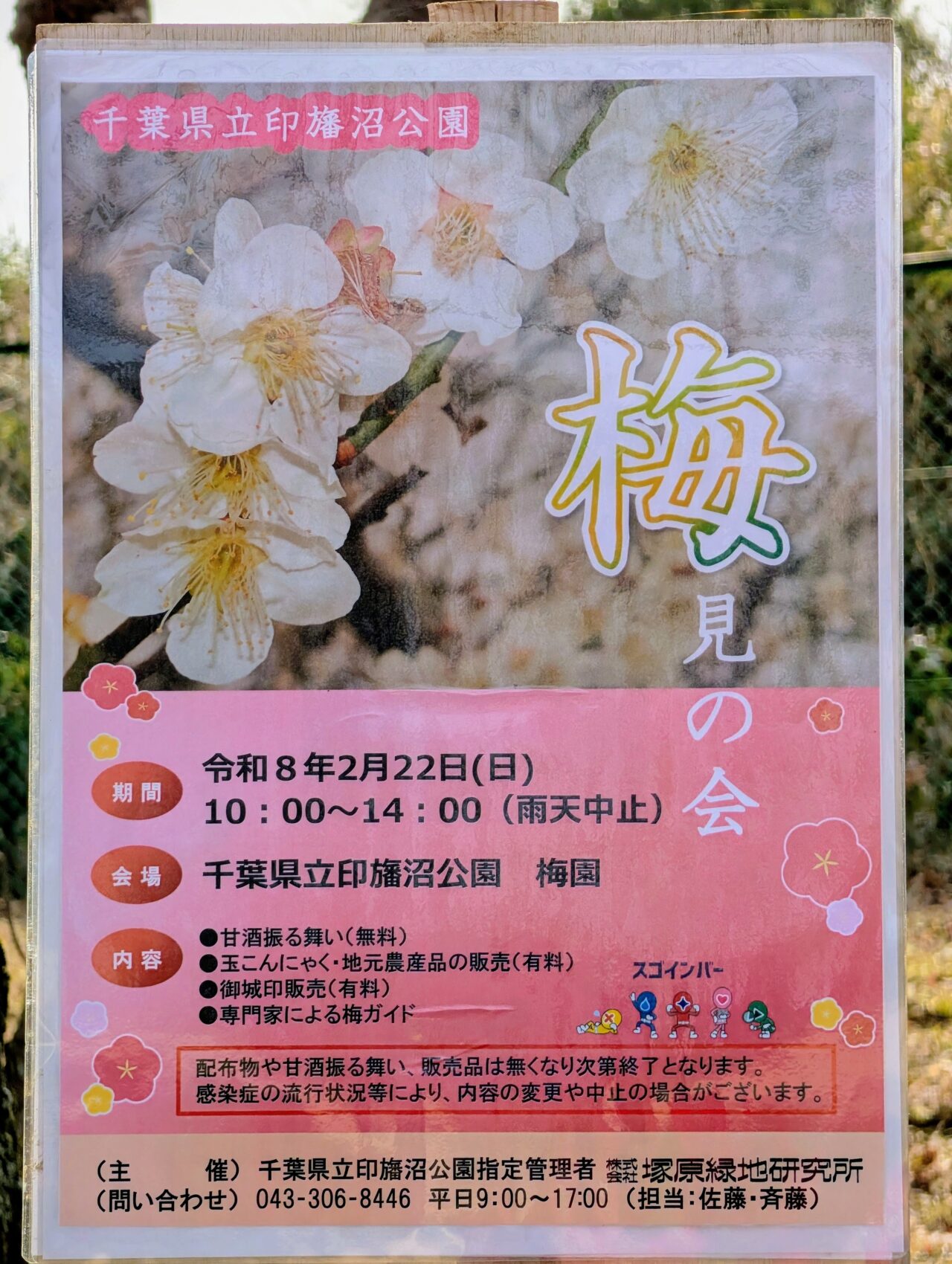 印旛沼公園梅見の会2026_ポスター１