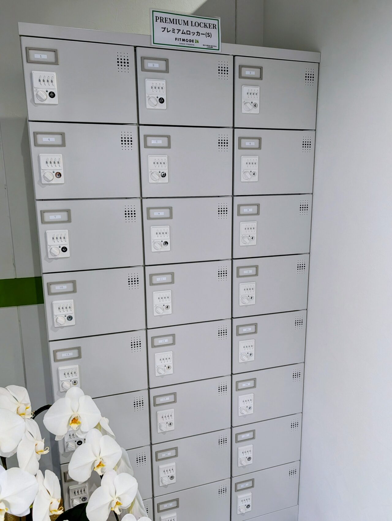 フィットモード24_ロッカー