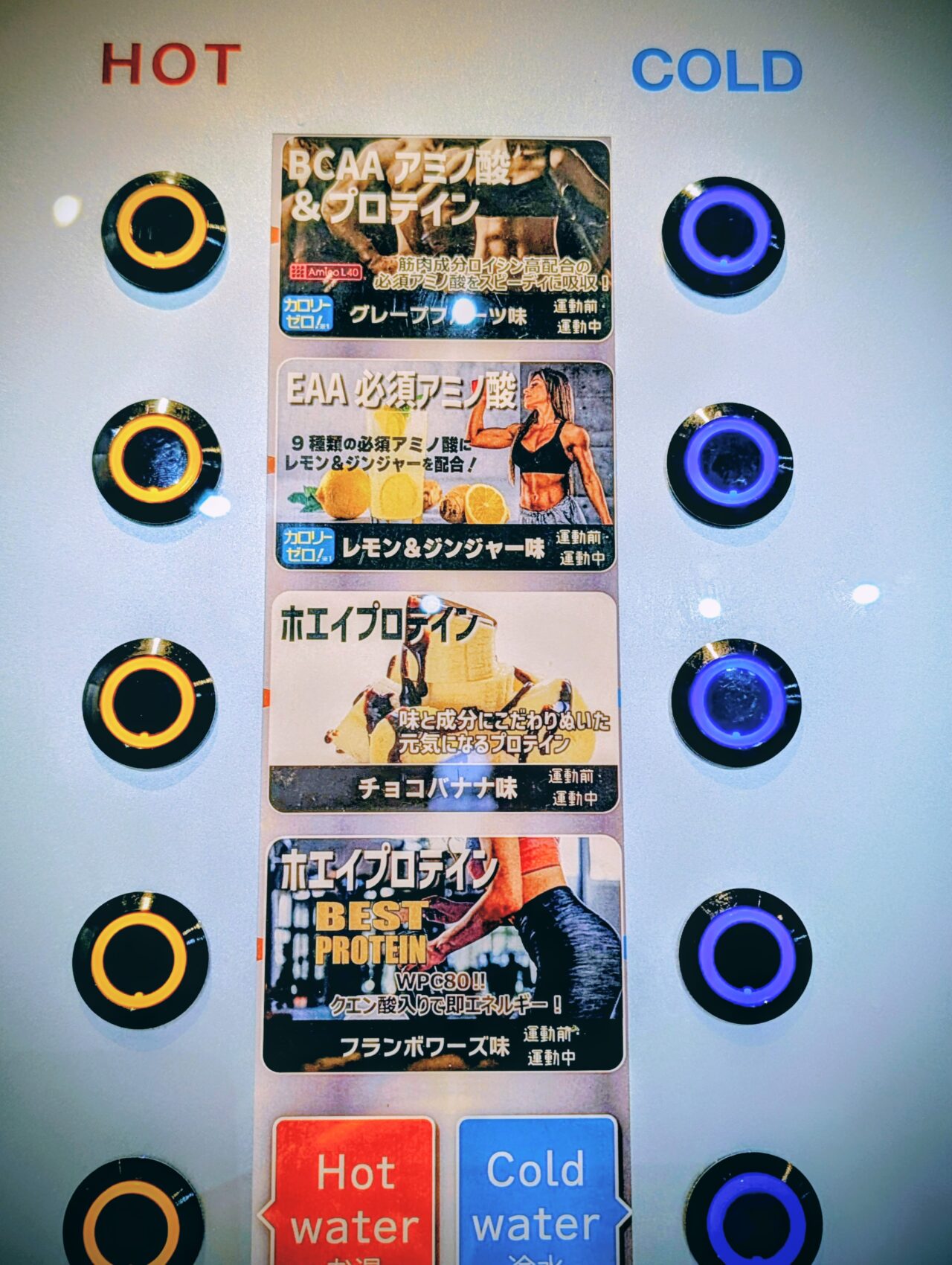 フィットモード24_プロテイン2