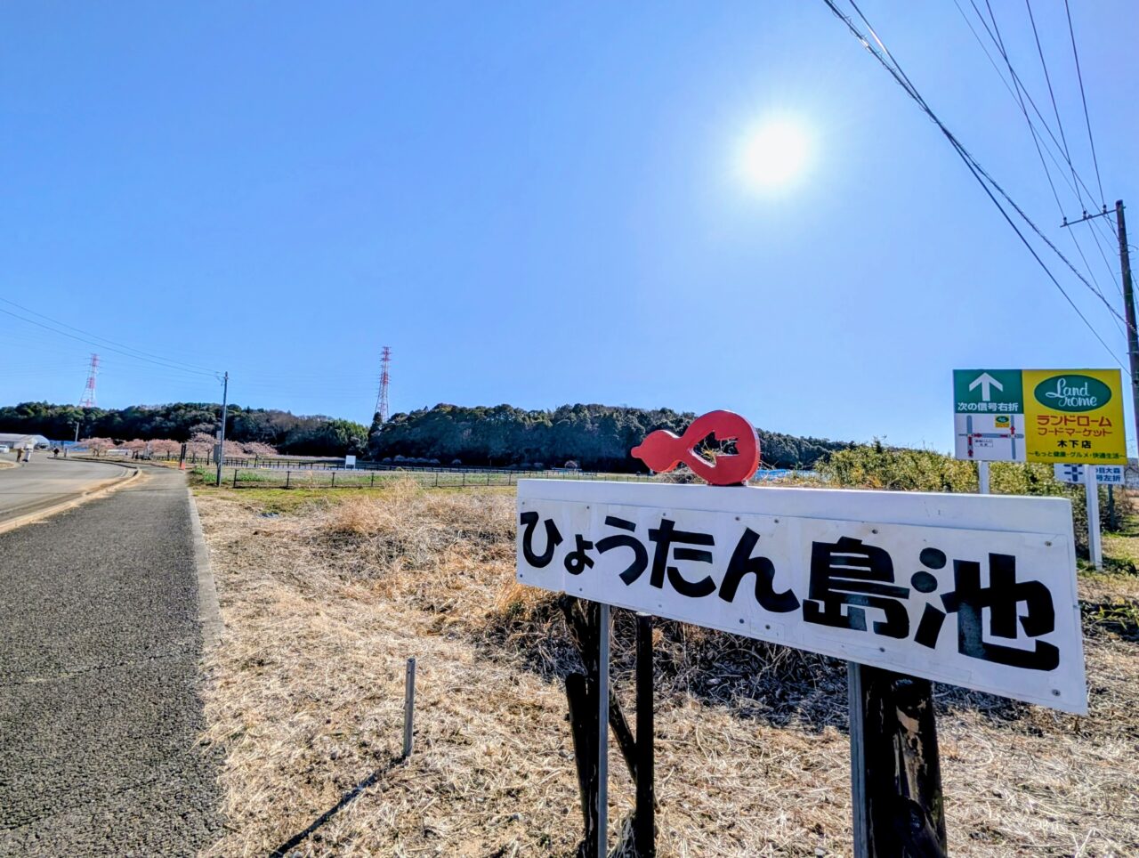 ひょうたん島池河津桜2026_池１