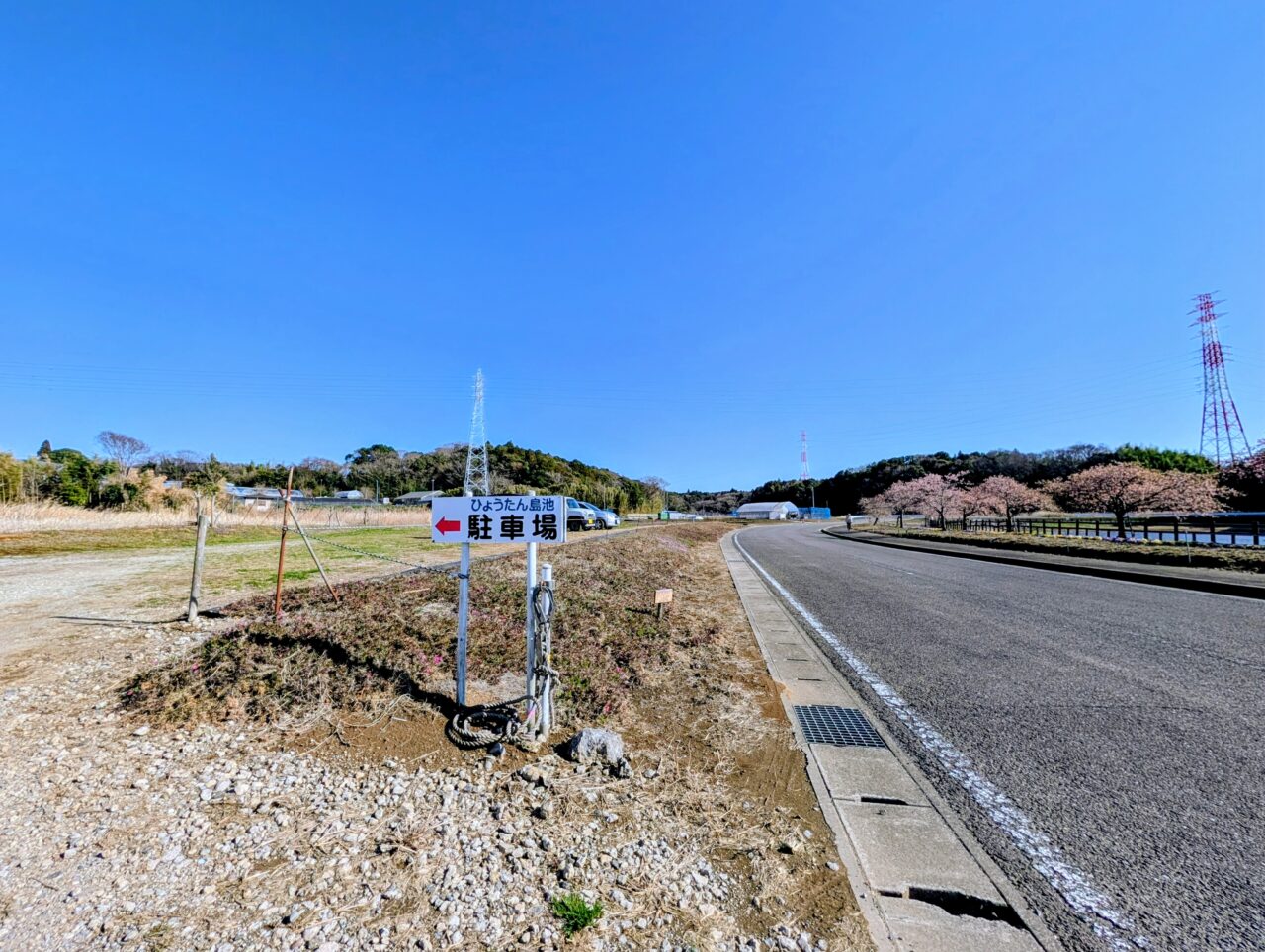 ひょうたん島池河津桜2026_駐車場１
