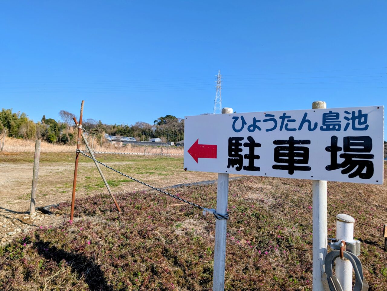 ひょうたん島池河津桜2026_駐車場２