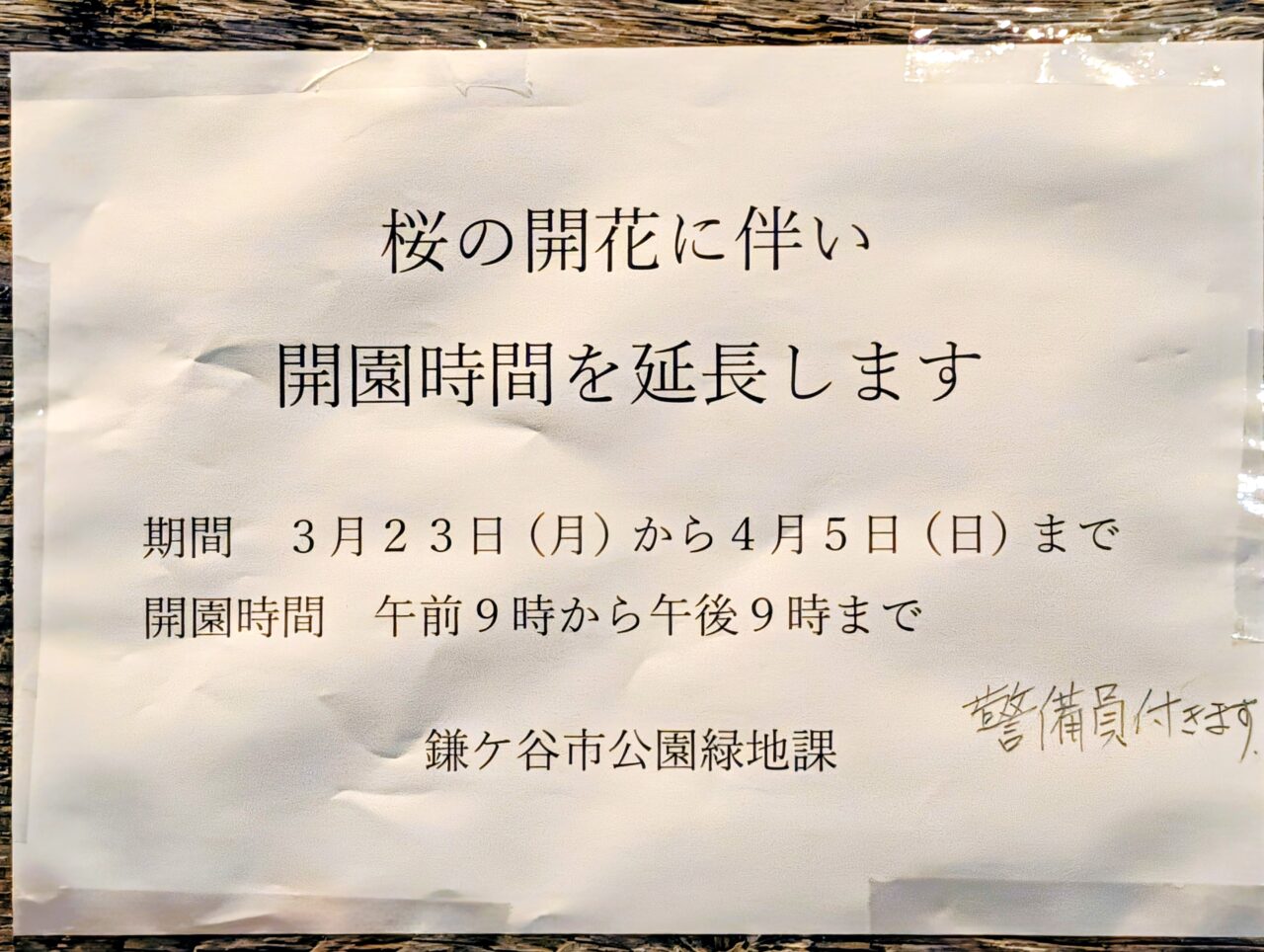 市制記念公園夜桜2026_張り紙
