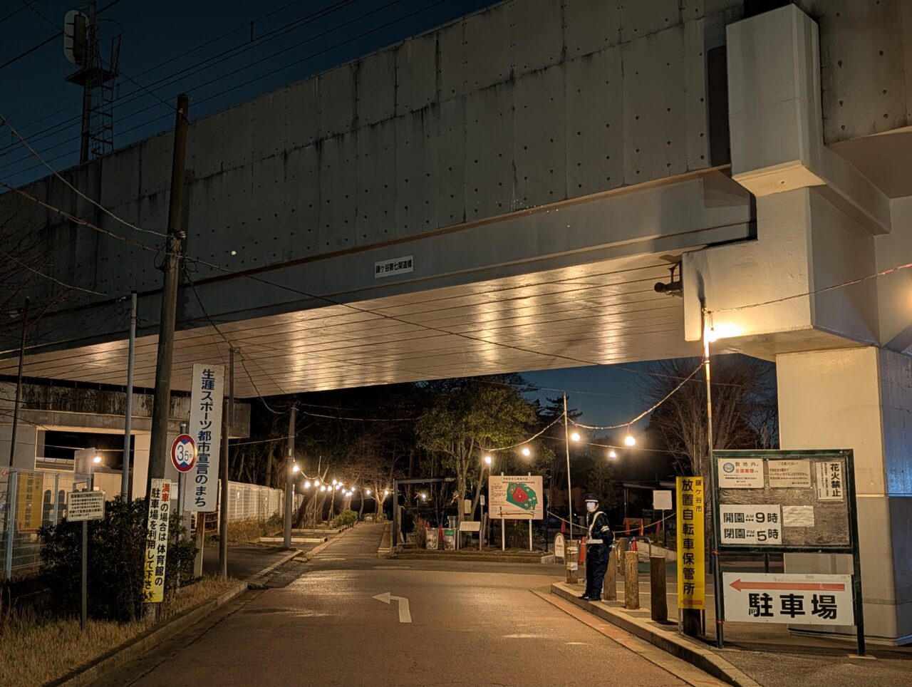 市制記念公園夜桜2026_入り口