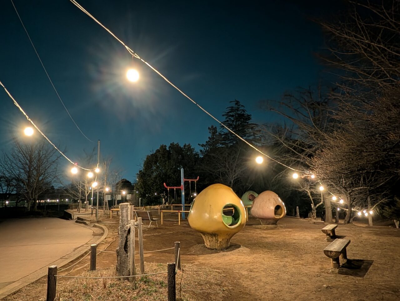 市制記念公園夜桜2026_公園内１