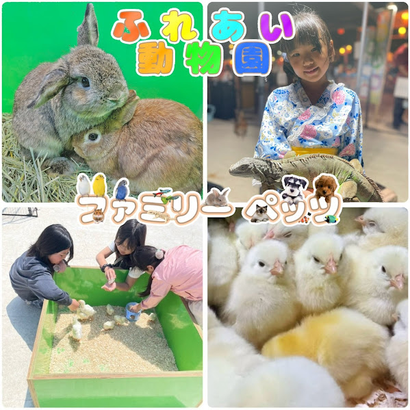 とかみDEマルシェ2026年3月_ファミリーペッツ