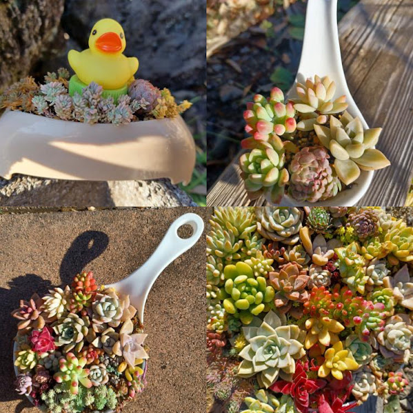 とかみDEマルシェ2026年3月_真由の手