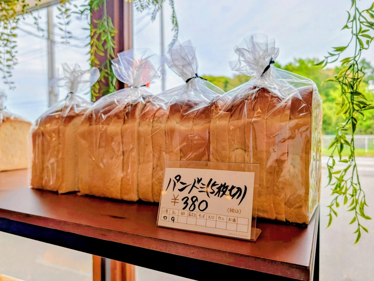 アミュゾンオープン_パン１