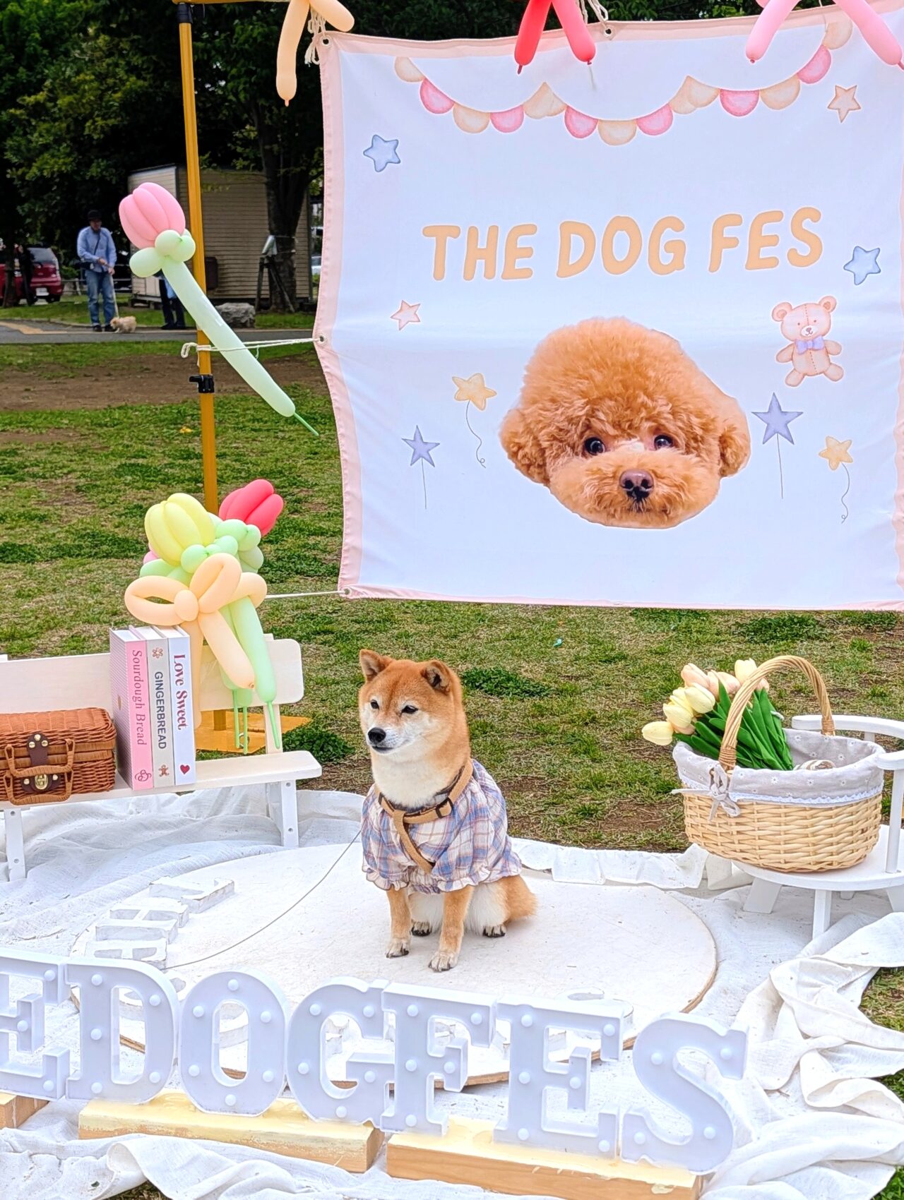 犬と春祭り2026年4月2_フォトスポット１