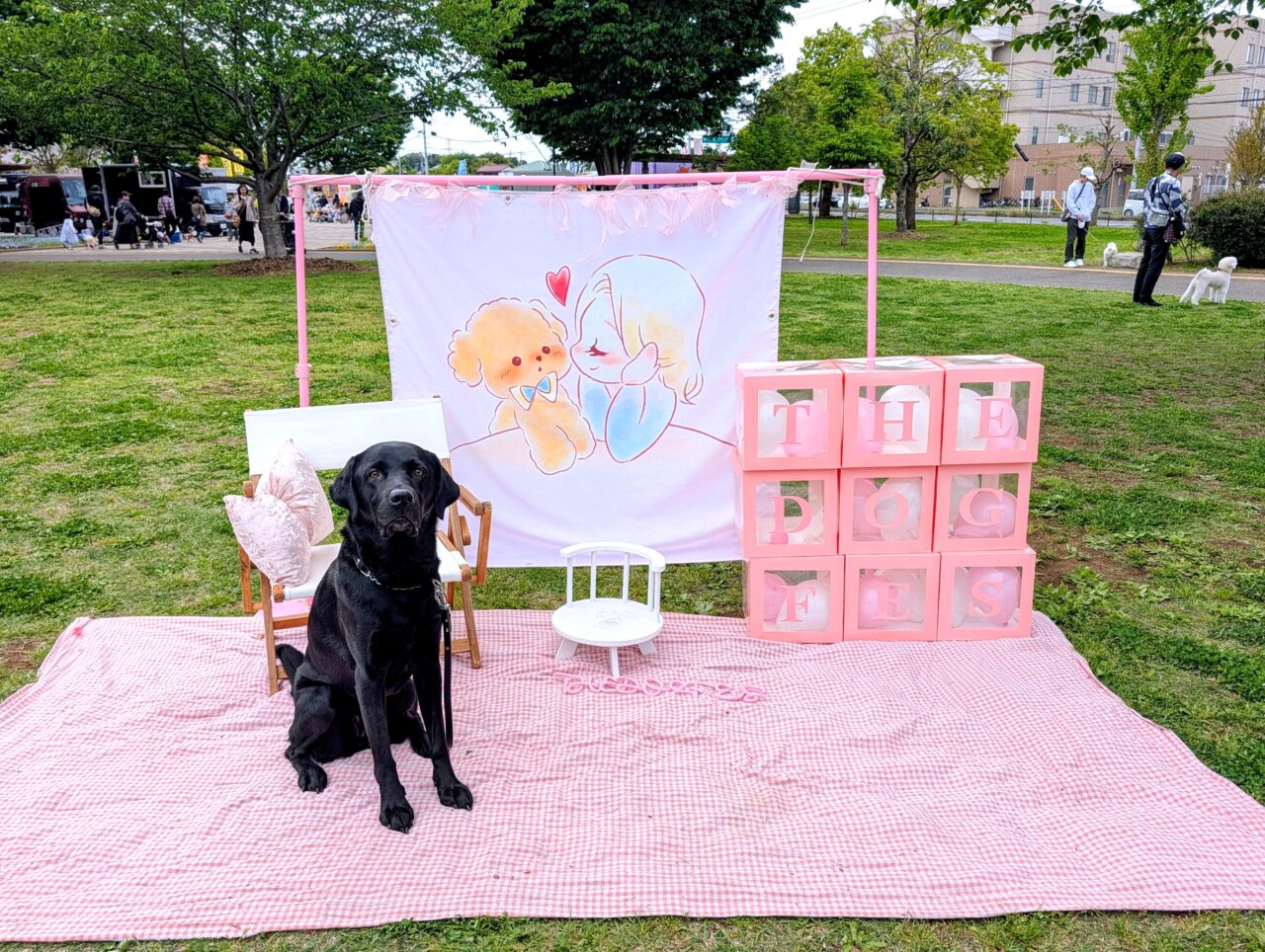 犬と春祭り2026年4月2_フォトスポット２