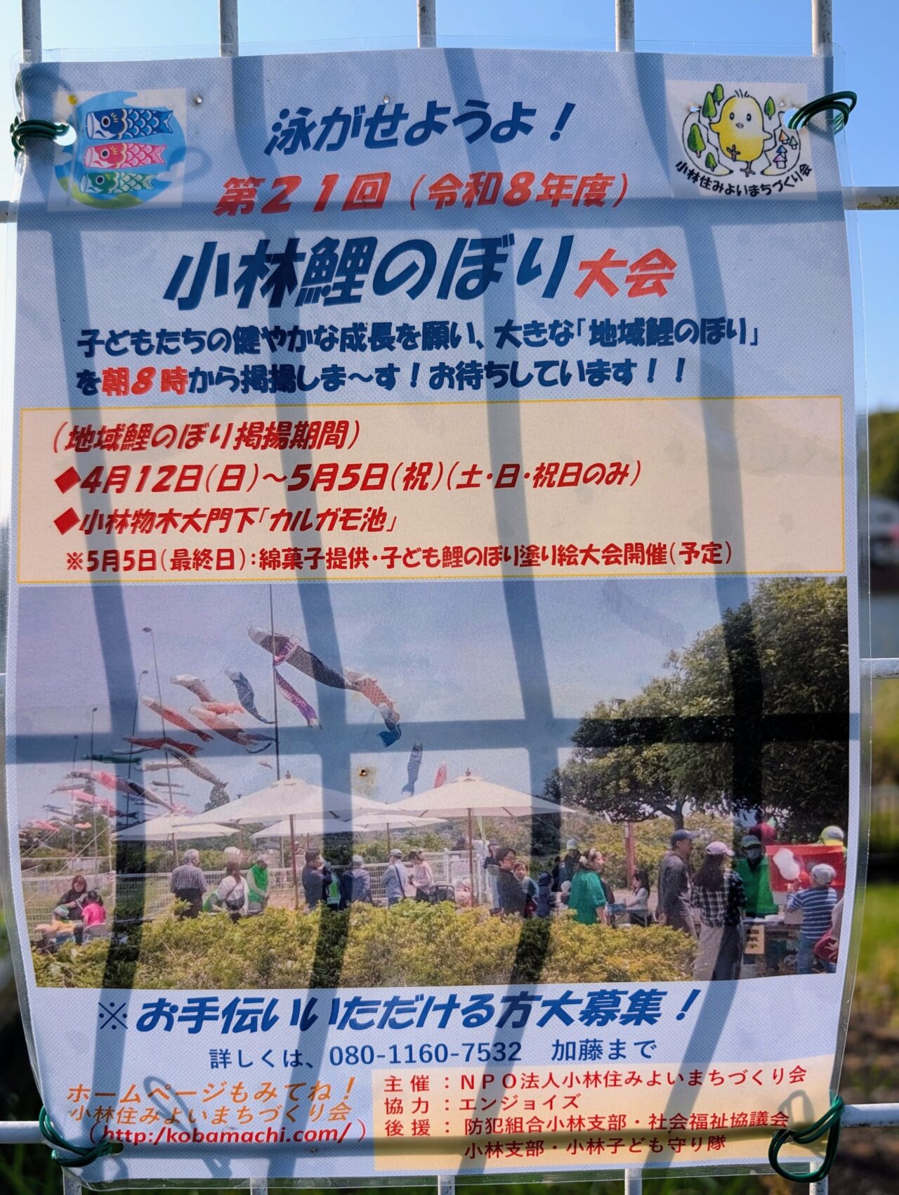 小林鯉のぼり2026_張り紙