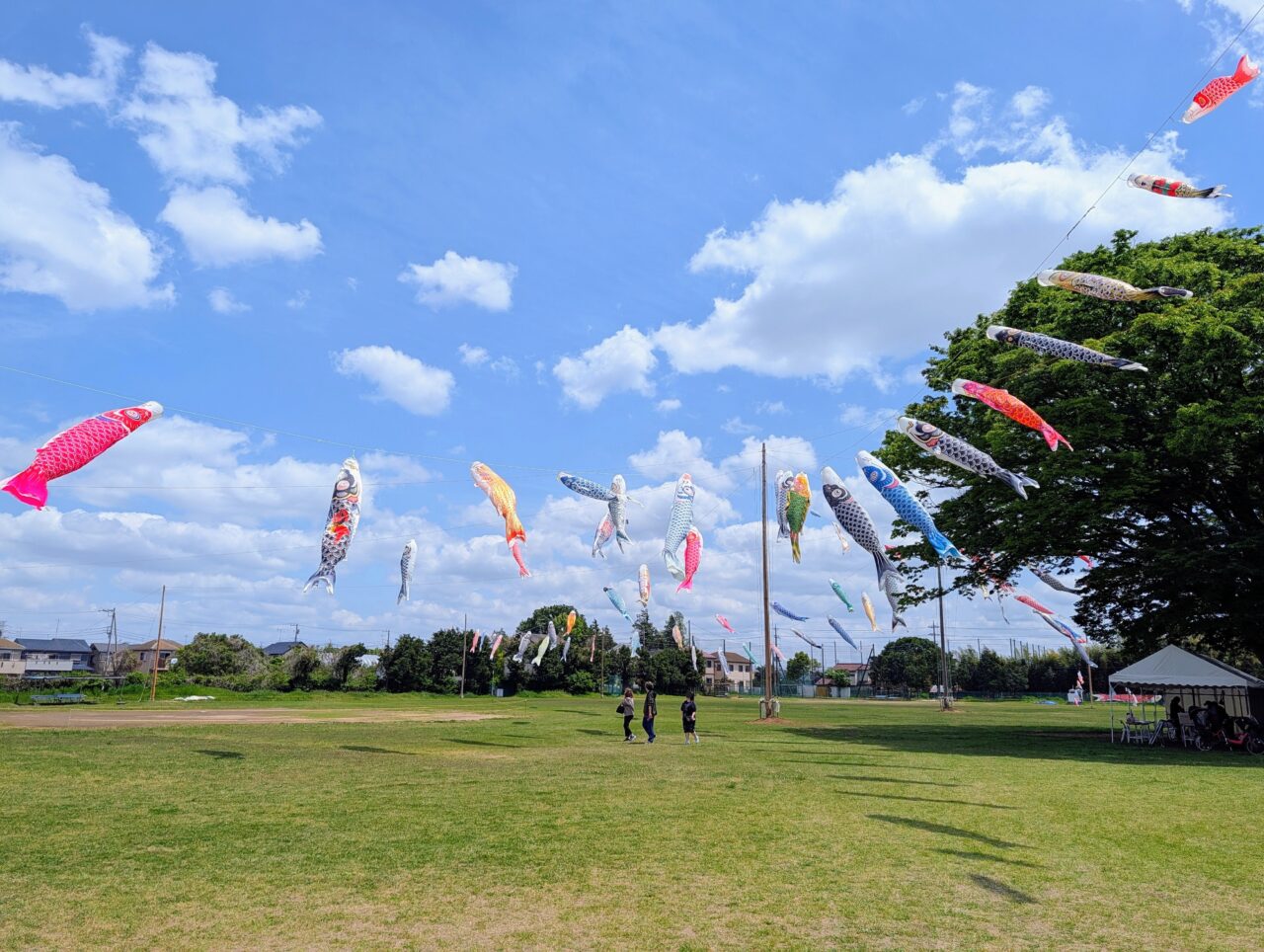 白井こいのぼりまつり2026_今年４