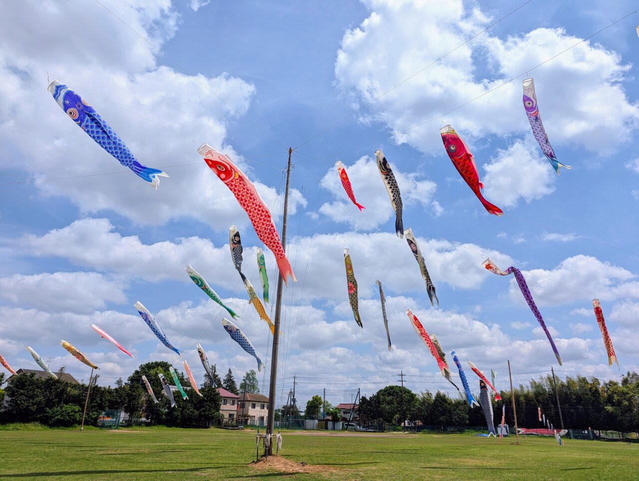 白井こいのぼりまつり2026_今年７