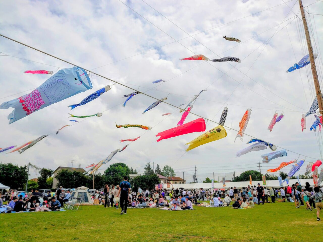 白井こいのぼりまつり2026_昨年の様子１