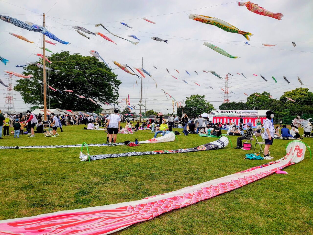 白井こいのぼりまつり2026_昨年の様子３