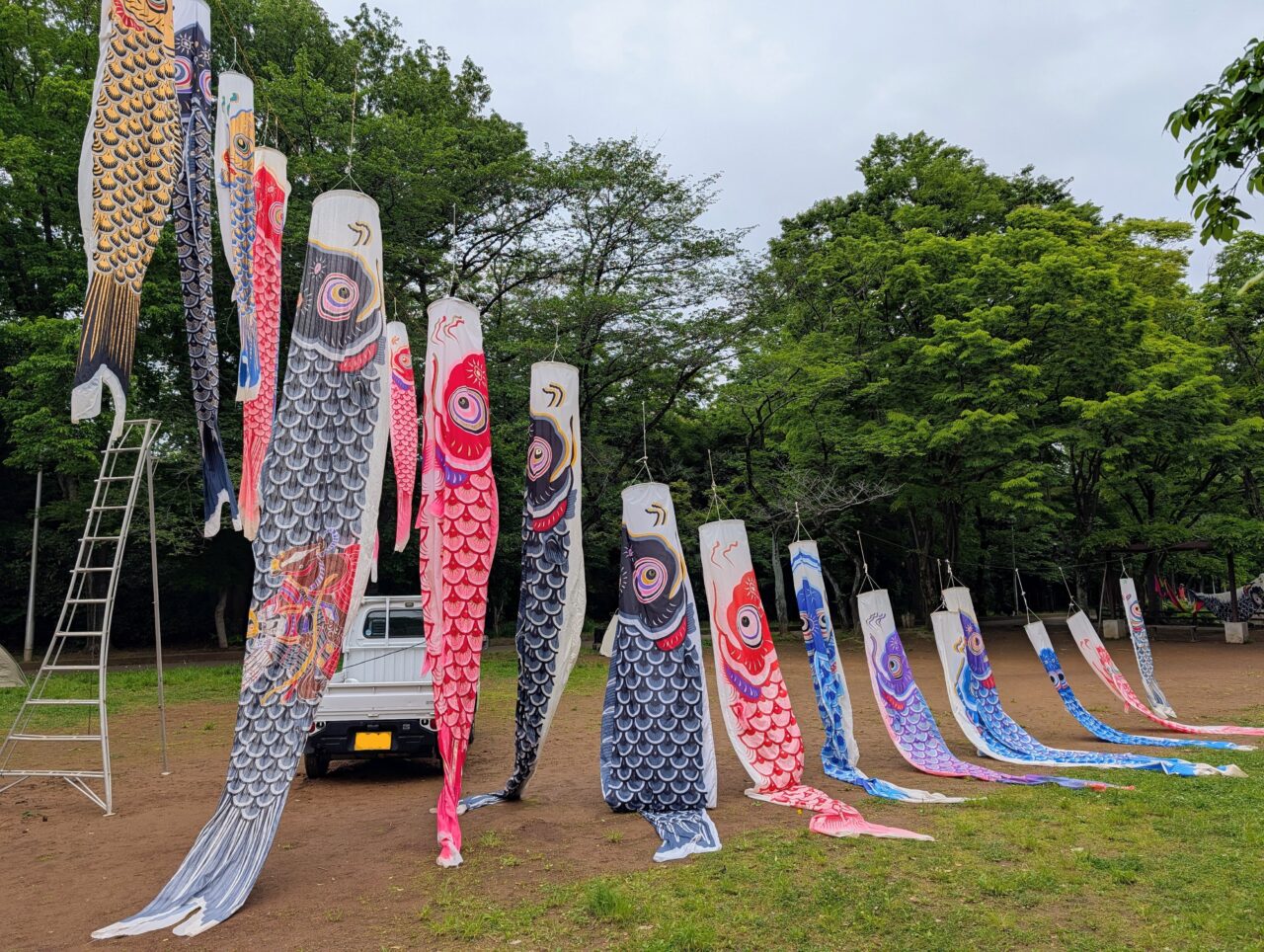 貝柄山公園こいのぼり2026_こいのぼり２