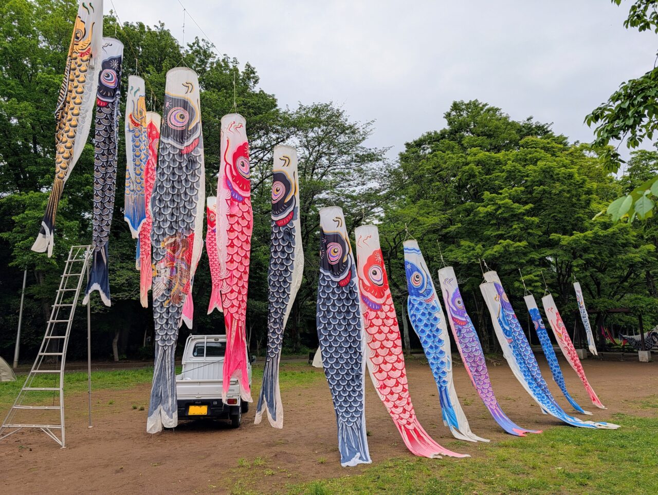 貝柄山公園こいのぼり2026_こいのぼり３