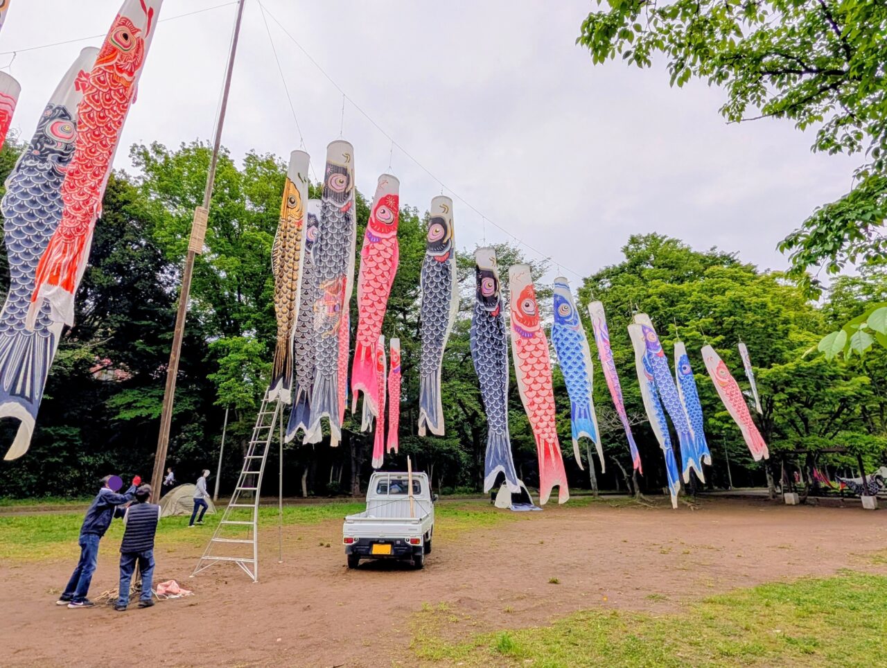 貝柄山公園こいのぼり2026_こいのぼり４