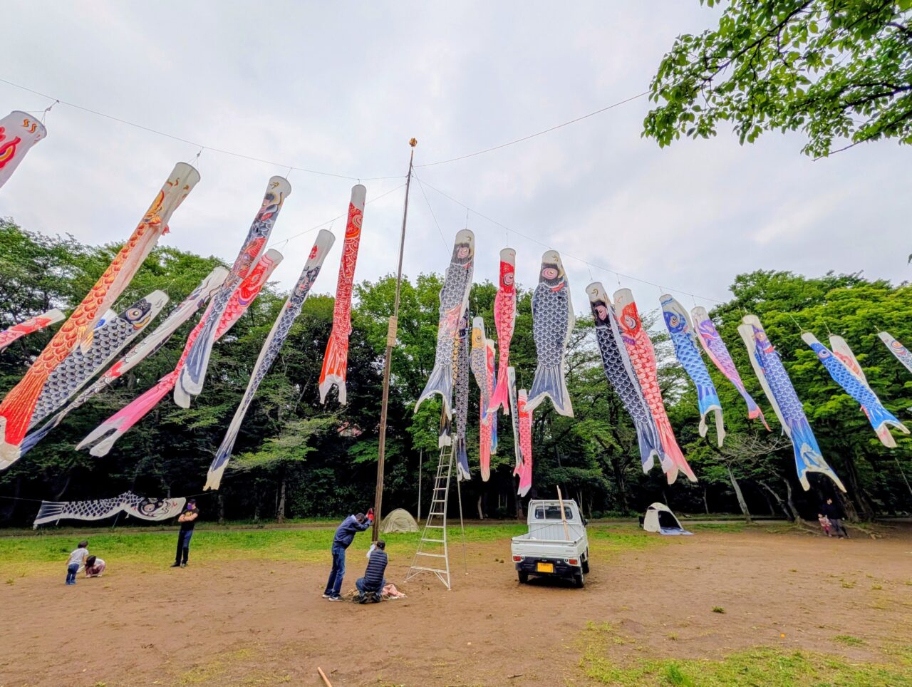貝柄山公園こいのぼり2026_こいのぼり５