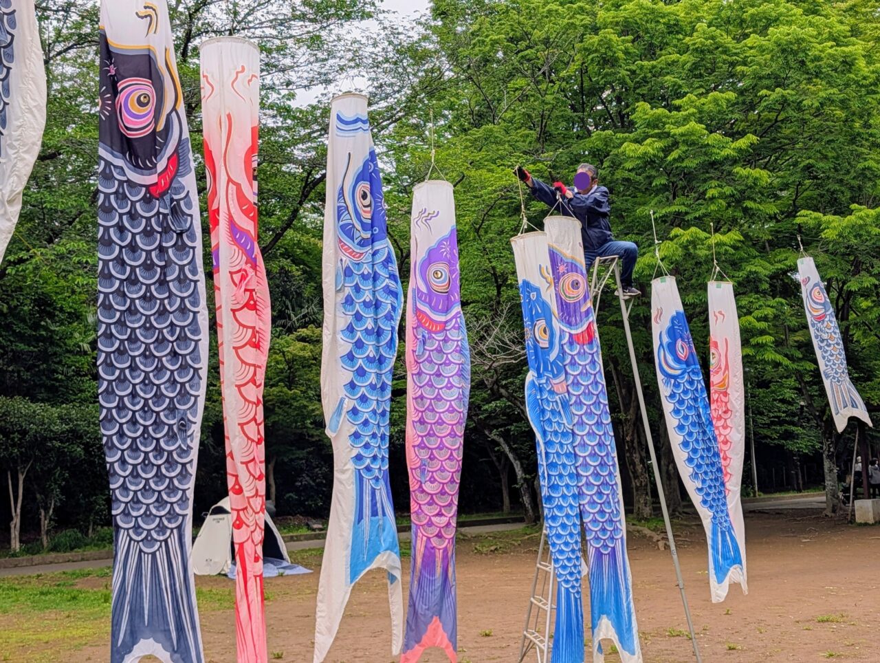 貝柄山公園こいのぼり2026_こいのぼり６
