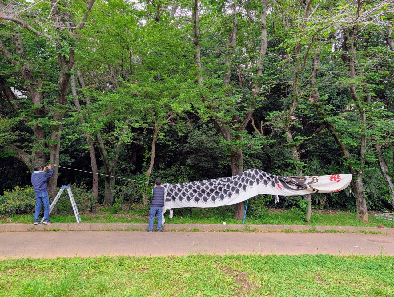 貝柄山公園こいのぼり2026_こいのぼり７