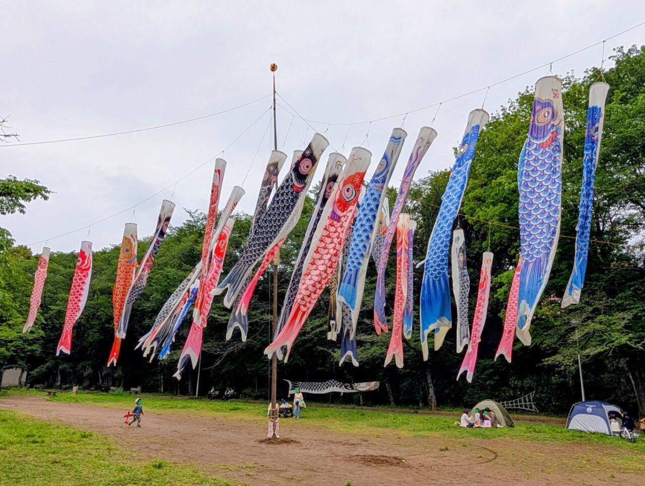 貝柄山公園こいのぼり2026_こいのぼり９