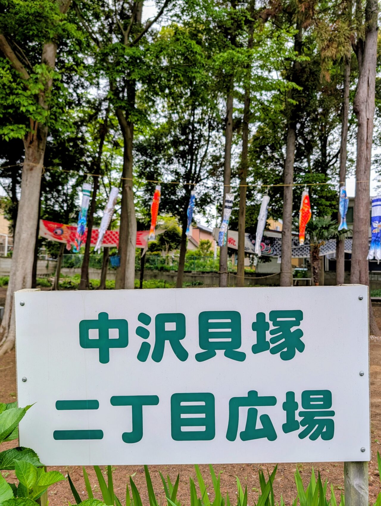 中沢貝塚こいのぼり2026_看板