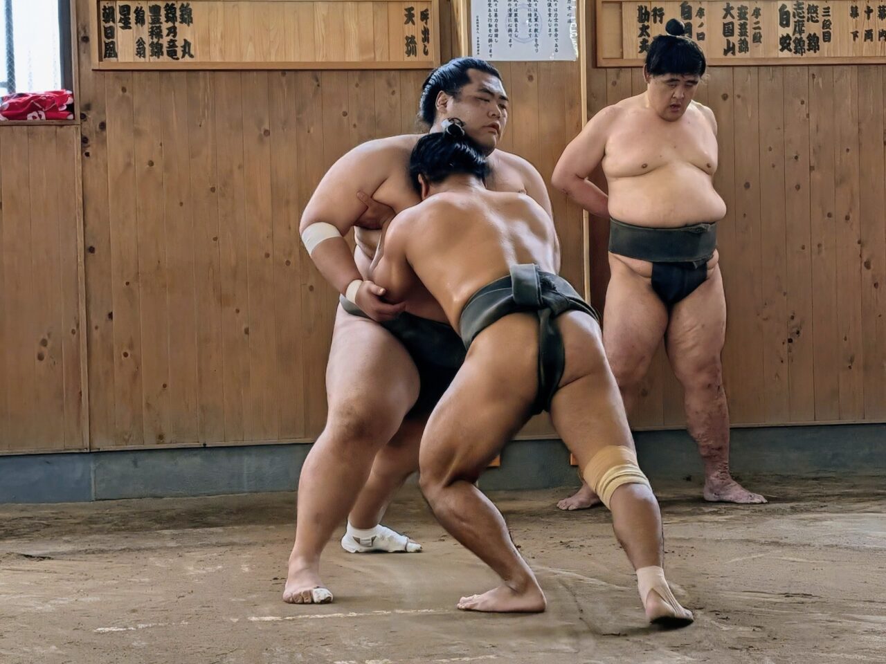 朝日山部屋稽古2026_ぶつかり
