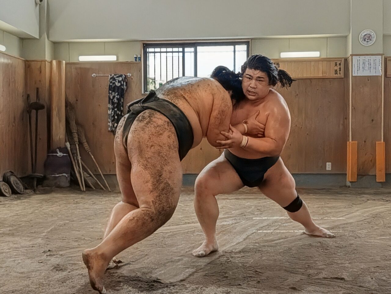 朝日山部屋稽古2026_押し